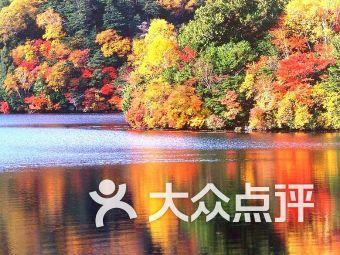 史小坑的爆笑生活12